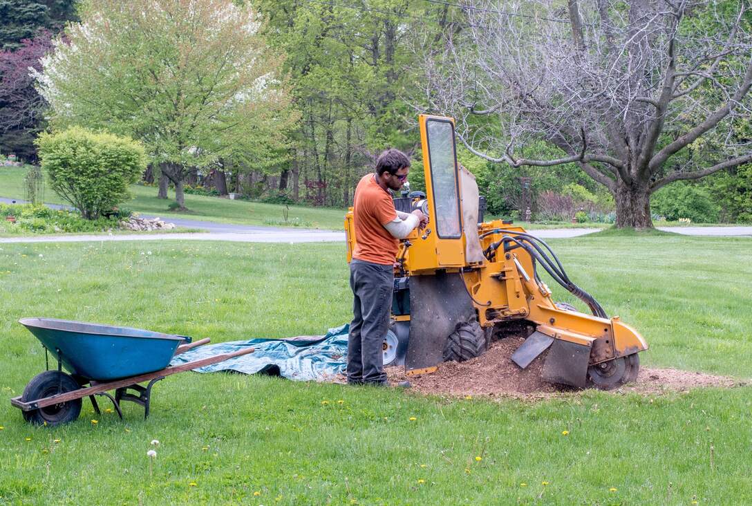 stump-grinding-peoria-il.jpg stump-grinding-peoria-il.jpg