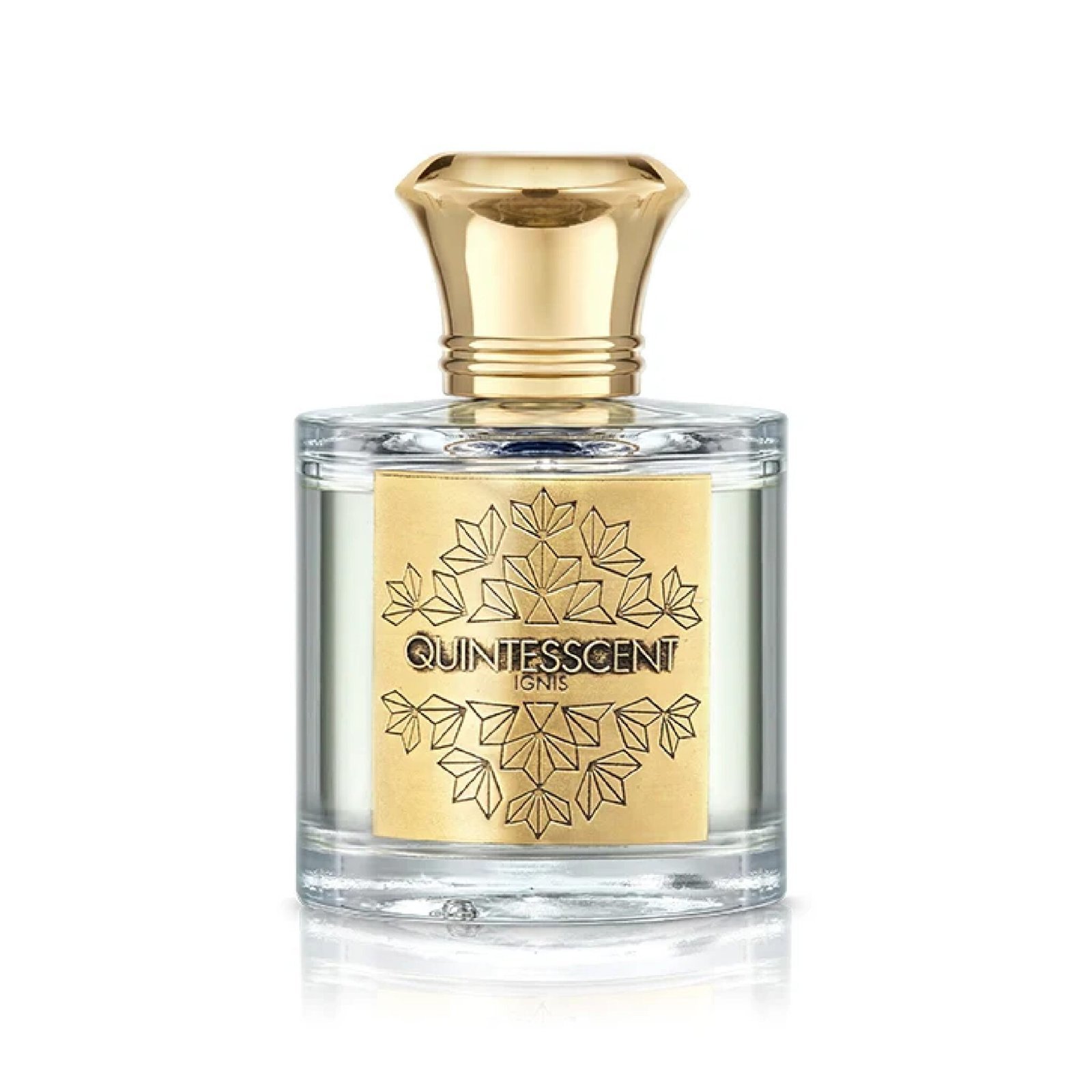 IGNIS EDP 100ML