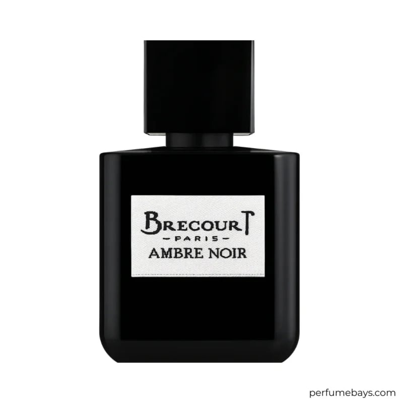 Ambre Noir EDP 100ML