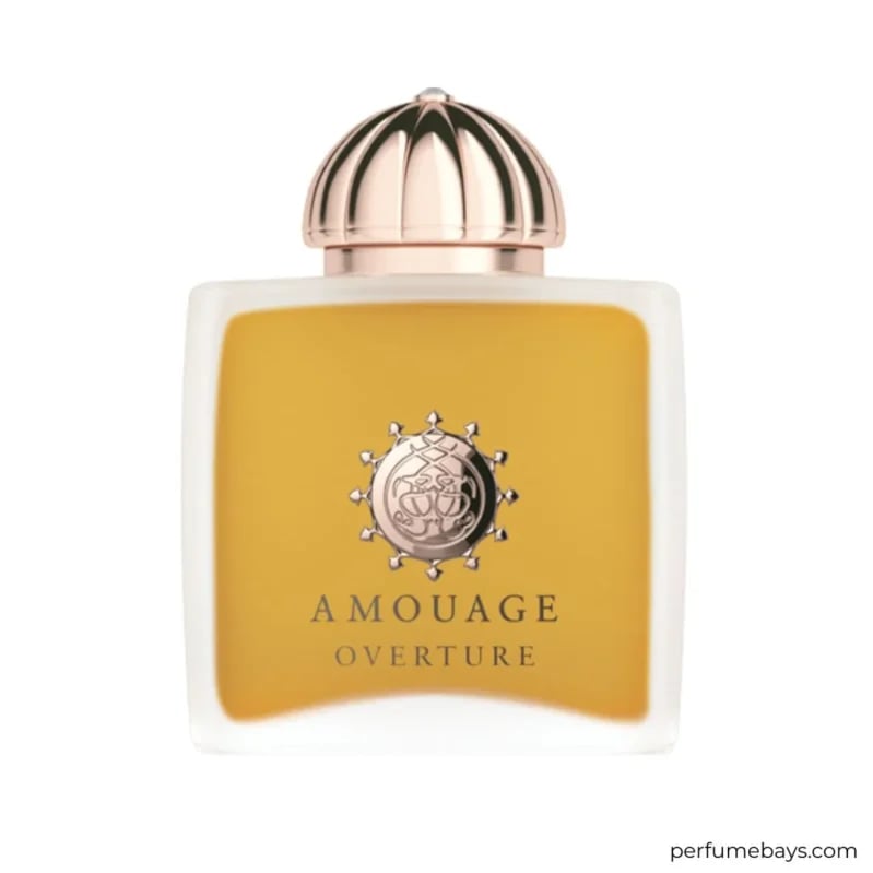 Overture Ladies EDP 100ML