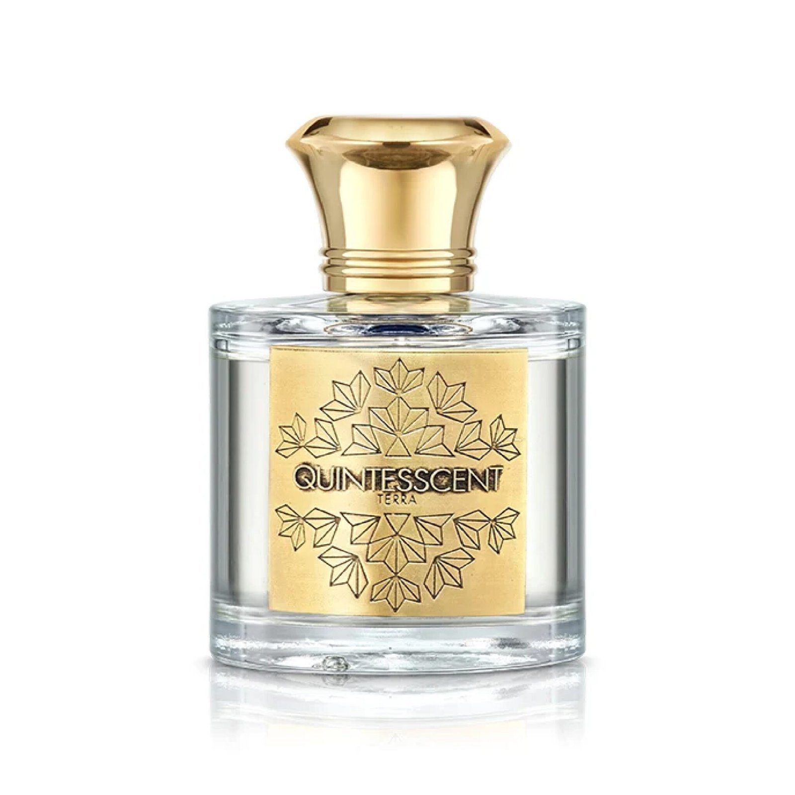 TERRA EDP 100ML