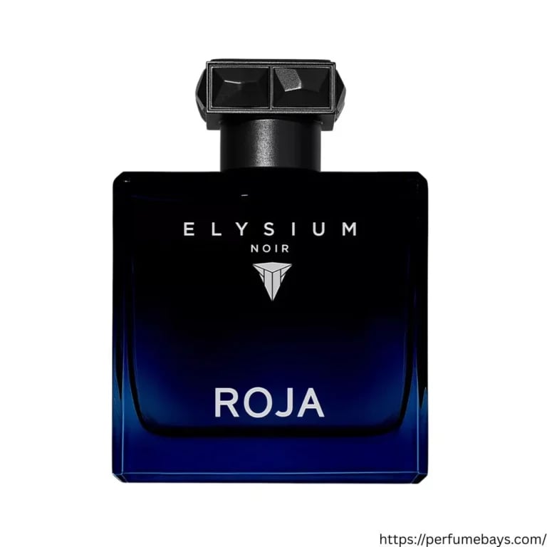Elysium Noir Pour Homme EDP 100ml