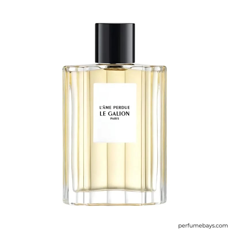 L Ame Perdue EDP 100ML