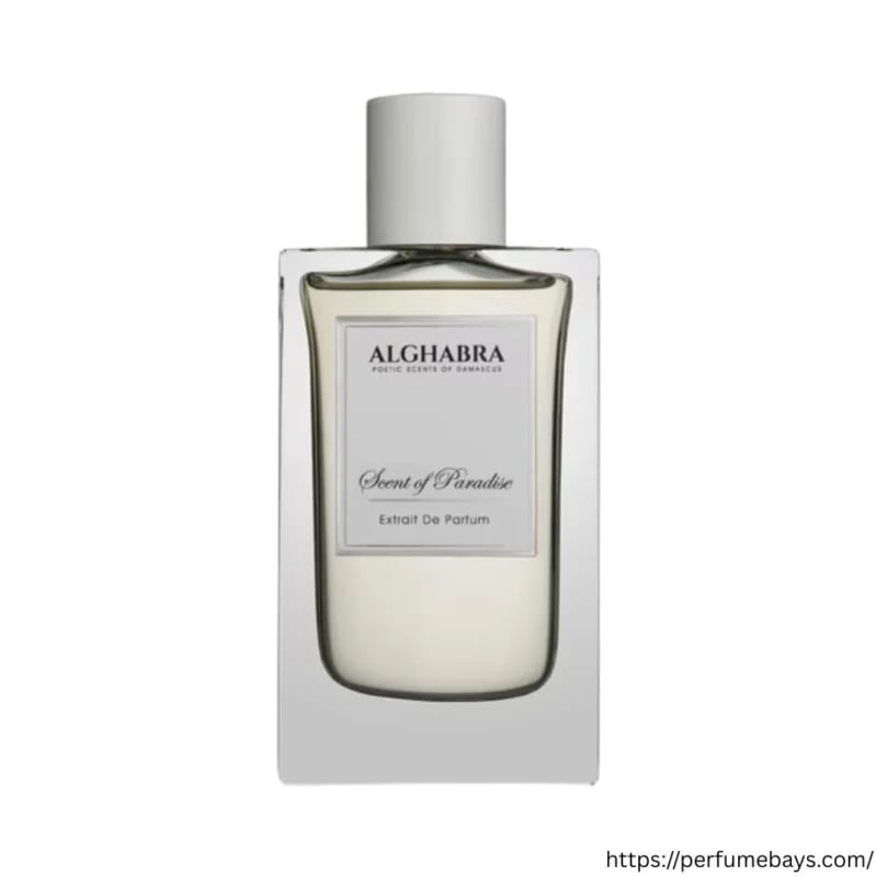 SCENT OF PARADISE EDP 50ML