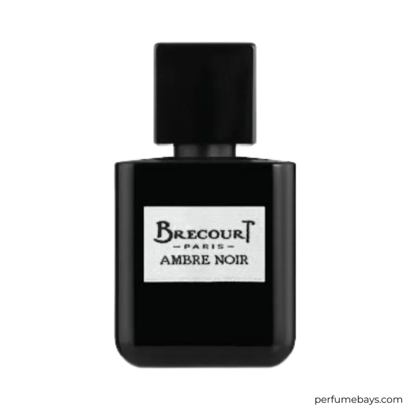 Ambre Noir EDP 100ML