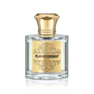 INDIUM EDP 100ML