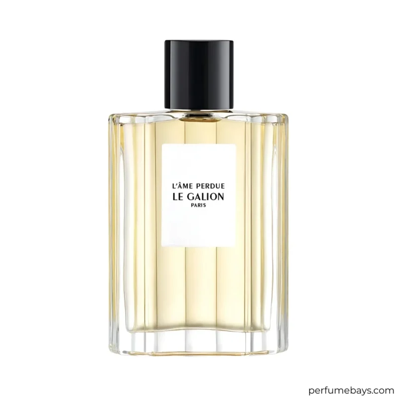 L Ame Perdue EDP 100ML L Ame Perdue EDP 100ML