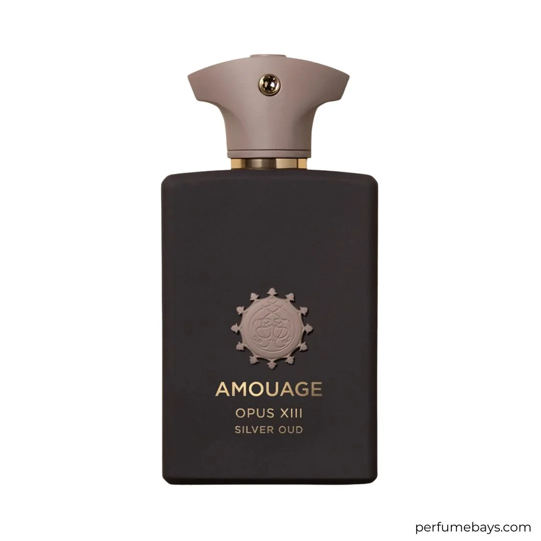 OPUS XIII SILVER OUD EDP 100ML