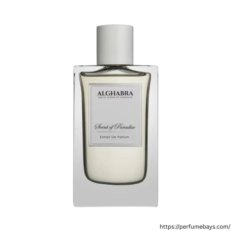 SCENT OF PARADISE EDP 50ML SCENT OF PARADISE EDP 50ML