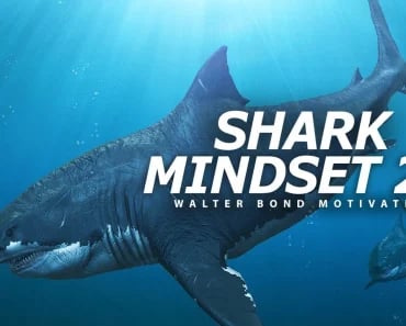 Unleash Your Inner Shark: A Blueprint for Success Unleash Your Inner Shark: A Blueprint for Success