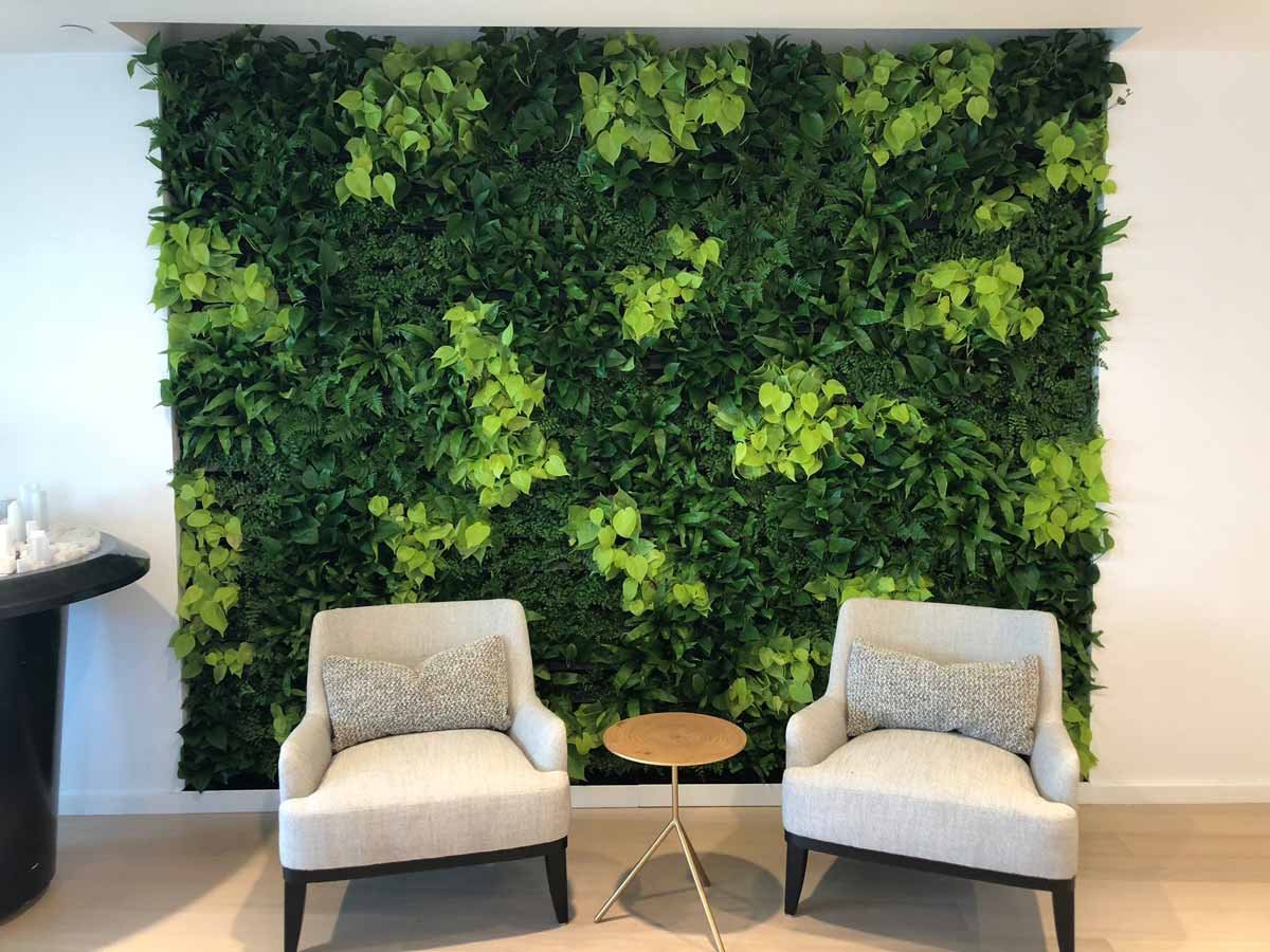 how to make a plant wall indoor