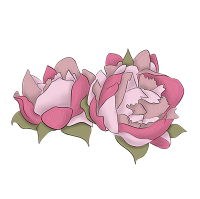 Kursoksiążka_Psychologia pozytywna w praktyce_Obszary Psychologia pozytywna w praktyce: Zaprojektuj swoje życie z dwiema różowymi piwoniami na czarnym tle.