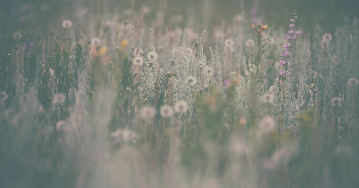 Lęk jako emocja, PS, Pracownia Szczęścia, szczęście, psychologia