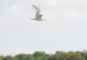 img-5