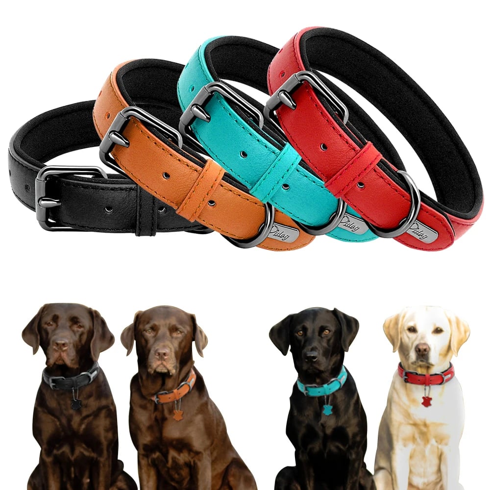 Dog Collars Adjustable