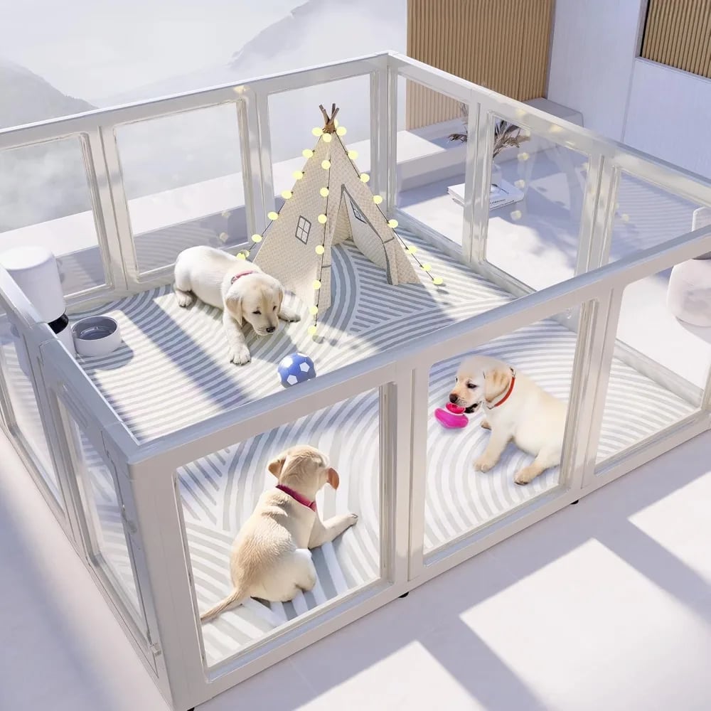 Transparent Pet Pen