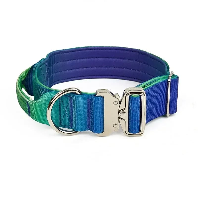 Pet Collar Change Color