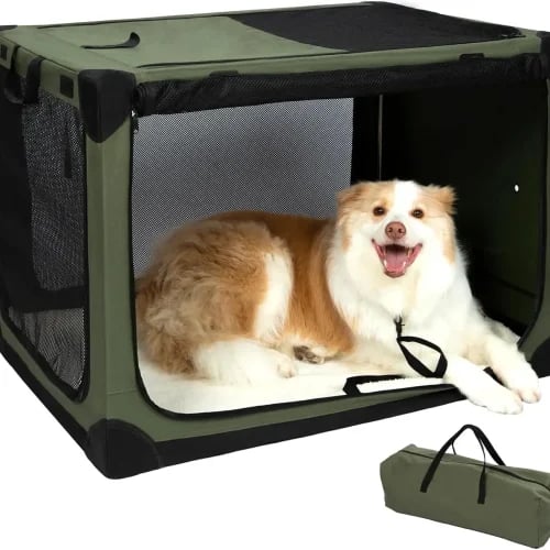 Collapsible Dog Crate