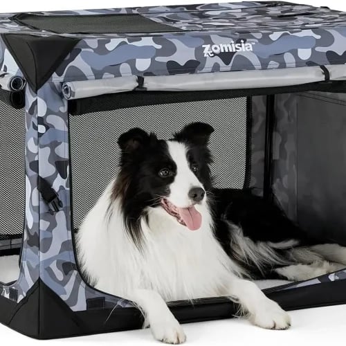 Collapsible Dog Crate