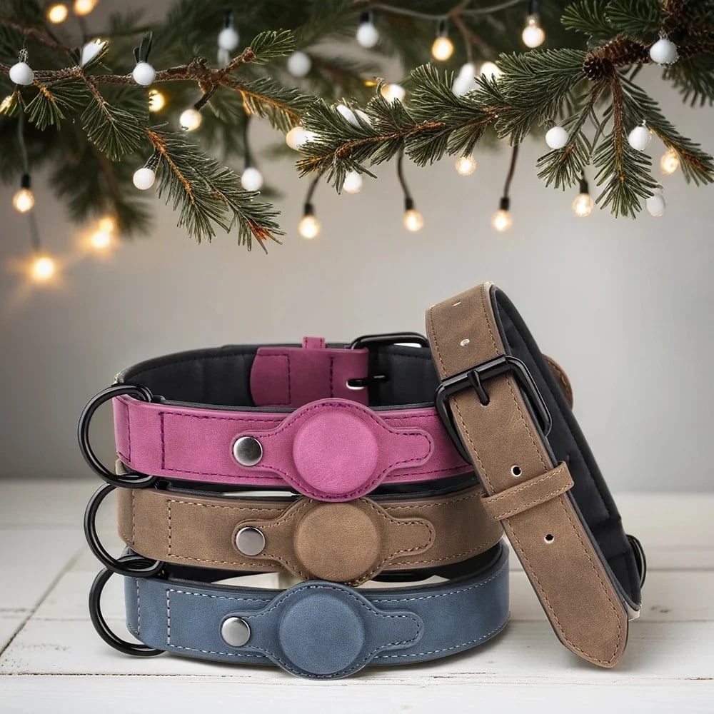 Tracker Dog Collar