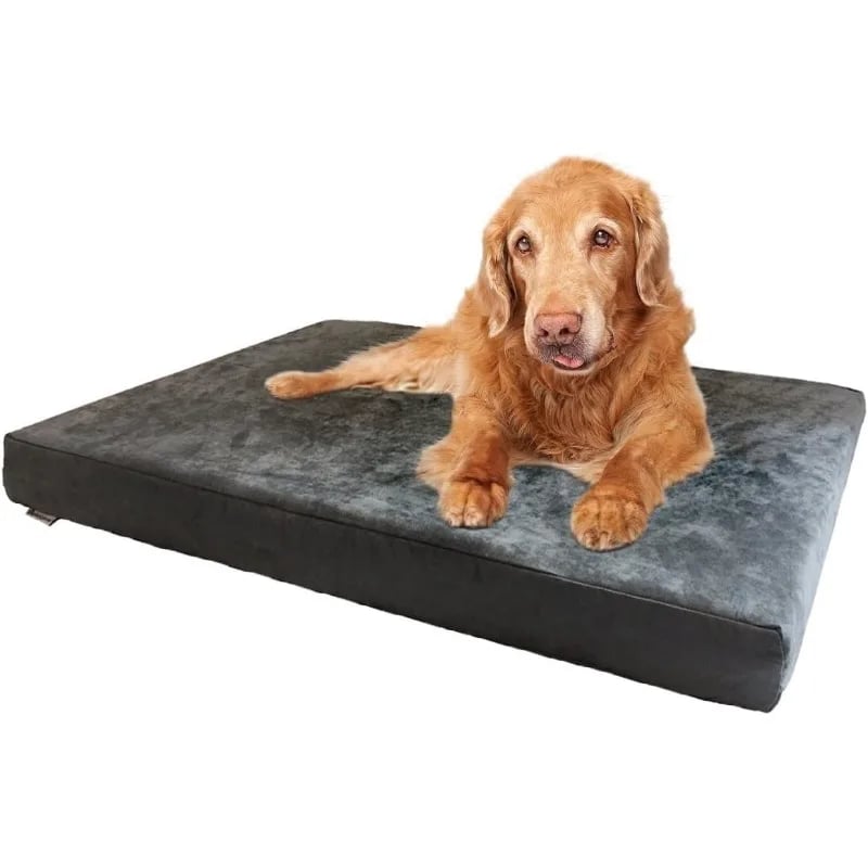 Orthopedic dog bed