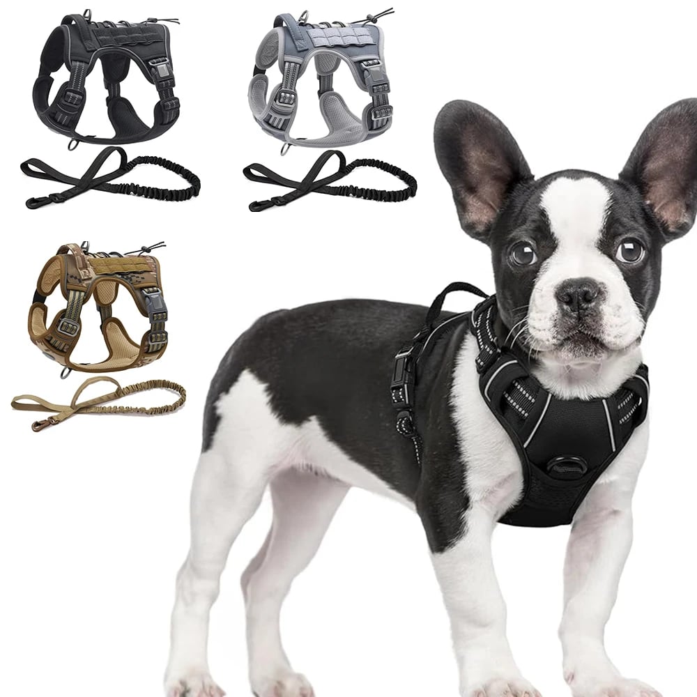 Reflective Harness w/leash