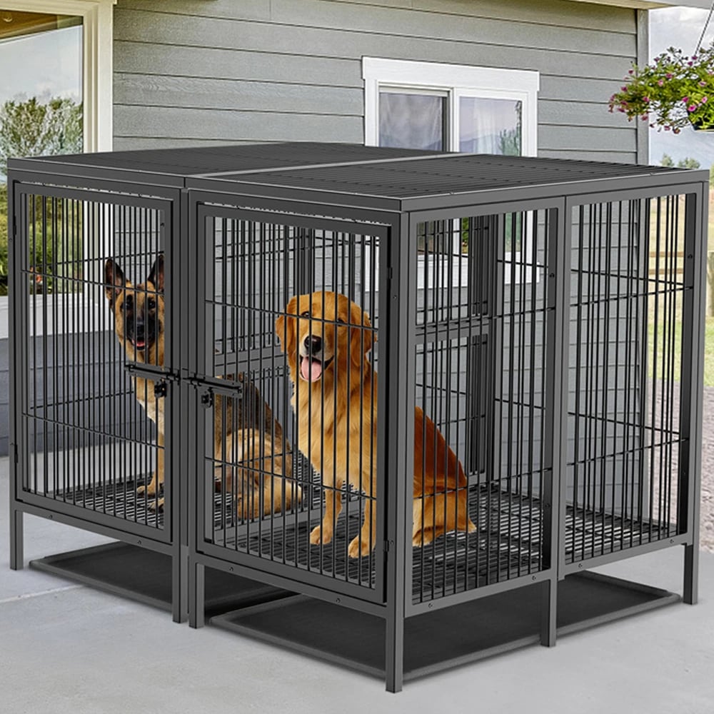 Heavy Duty Cage for 2