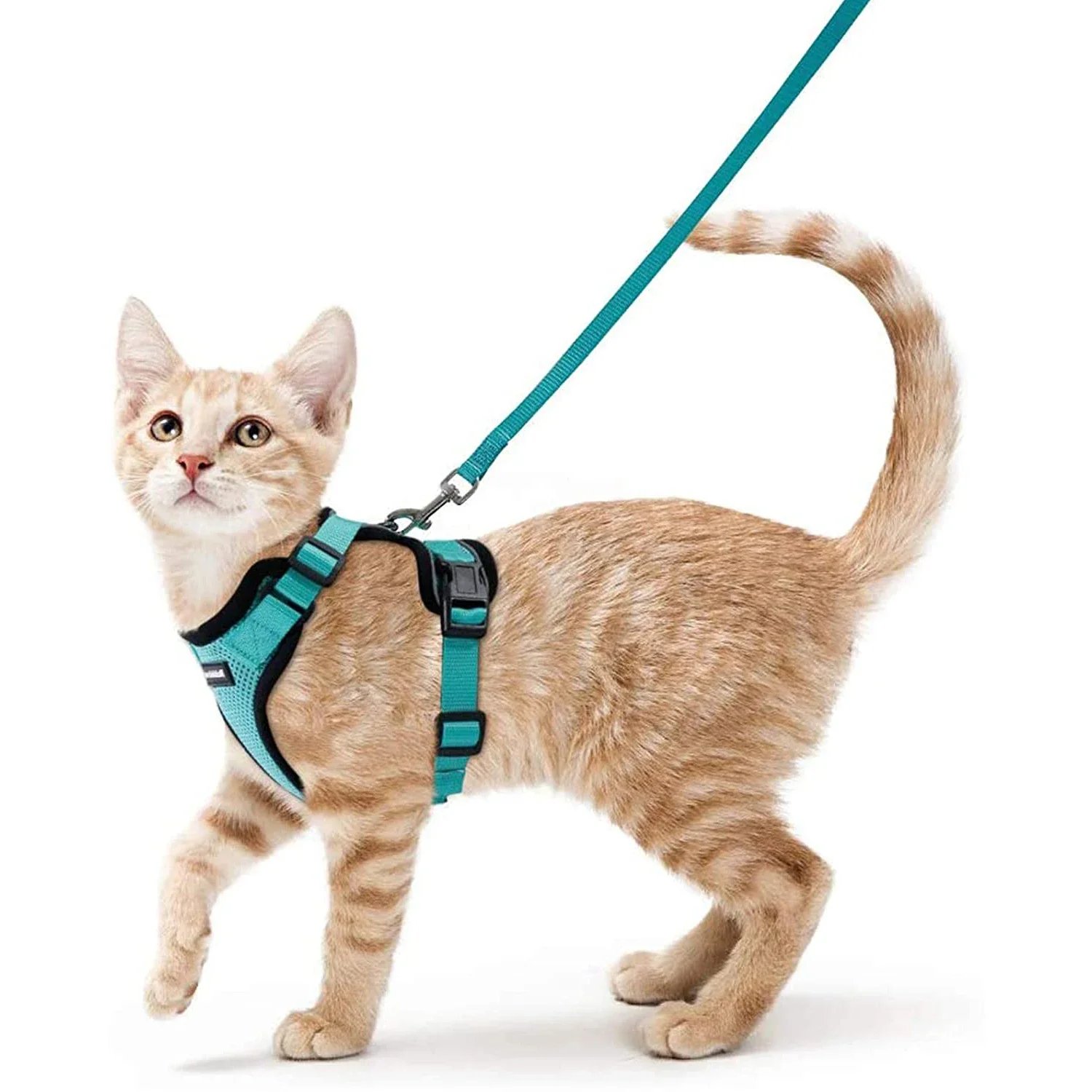Cat Harness and Leash