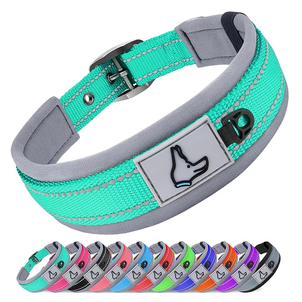 Dog Collar reflective