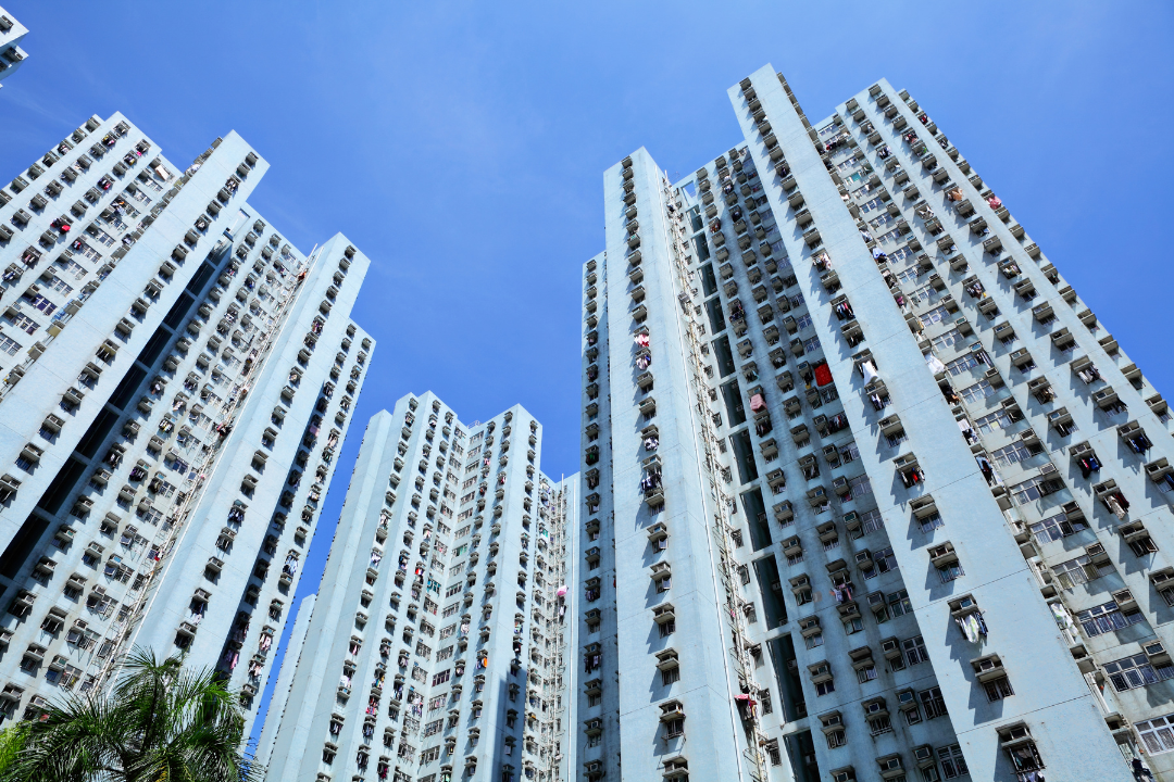 Untitled design - 2024-08-06T190700.360