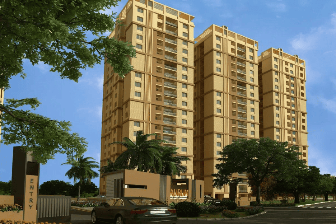 Untitled design - 2024-08-07T163250.676 (2)