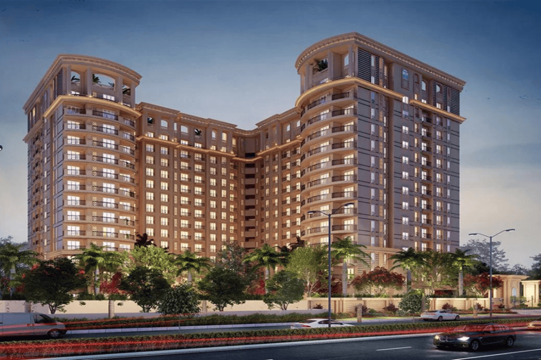 Untitled design - 2024-08-07T164115.884 (1)