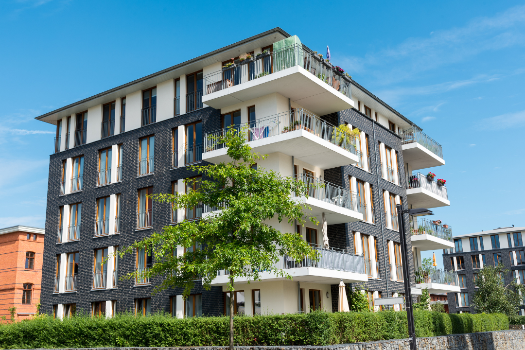 Untitled design - 2024-08-06T190737.353