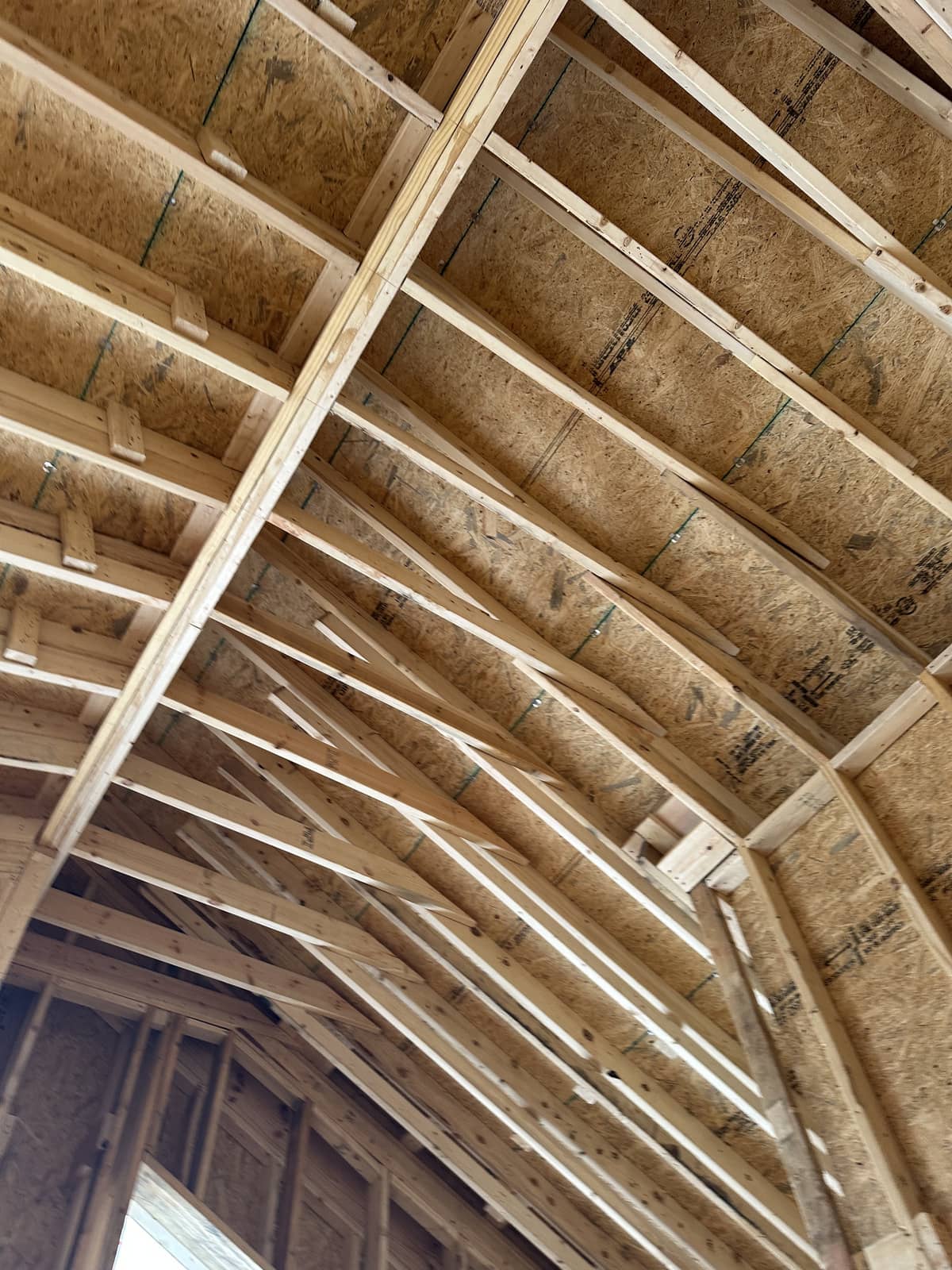Wooden rafters and beams form the framing of a pitched roof in a building under construction.