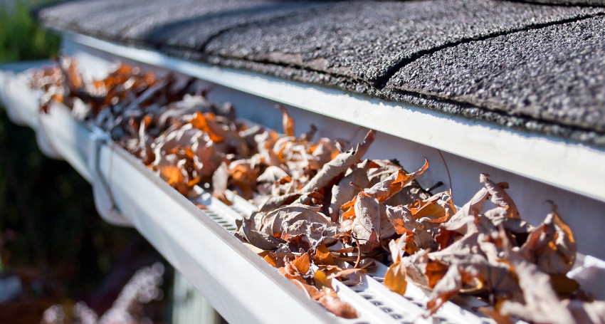 Clogged gutter filled with dry leaves against a roof, protected by gutter guards.