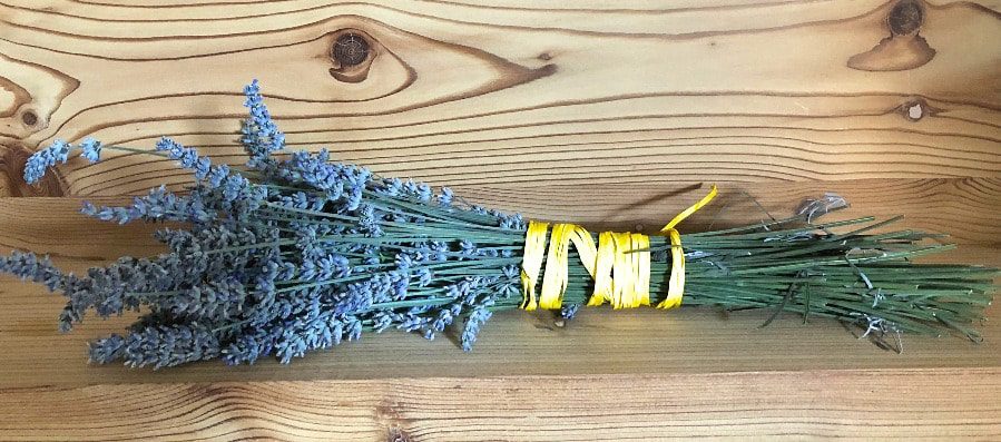 2018 European travel review: Wildflowers