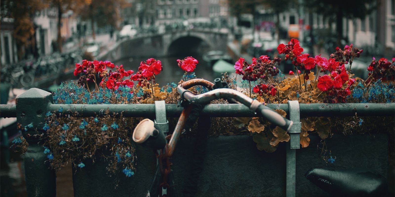 free wifi in amsterdam