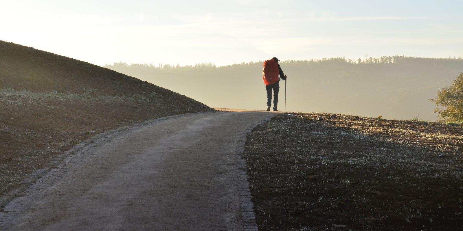 Camino de Santiago hiker, known in English as the Way of Saint James