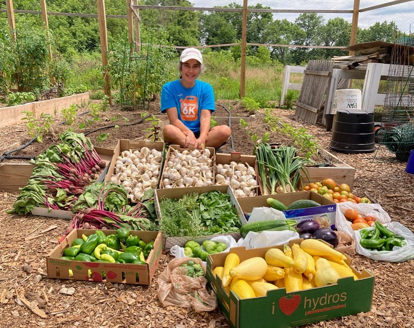 harvest 3-min img-92