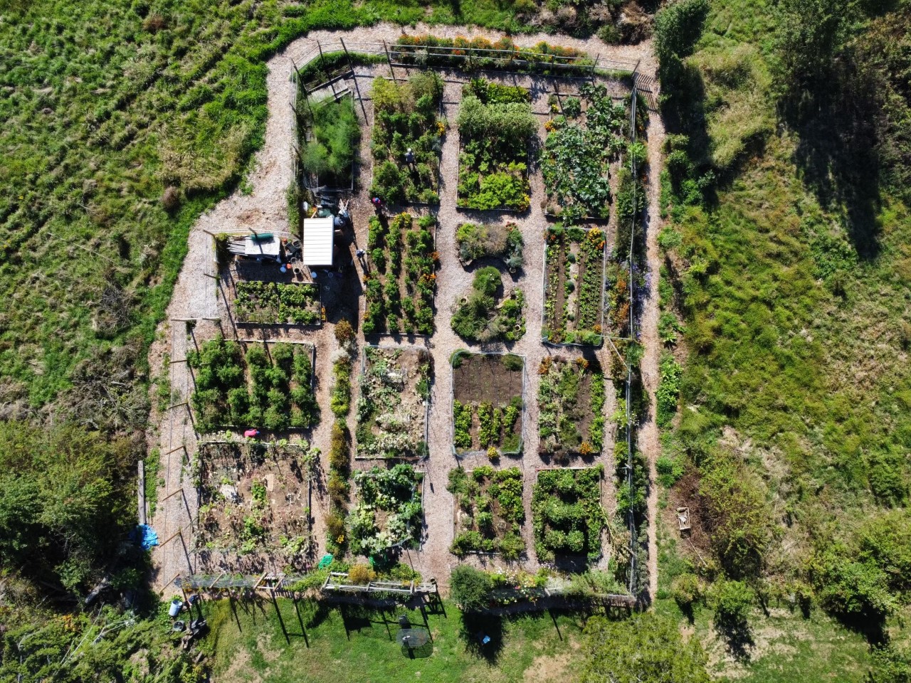 Boudinot's Giving Garden from above img-101