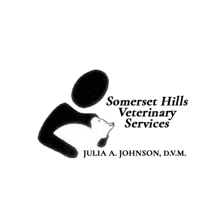 sh veterinary clinic img-32