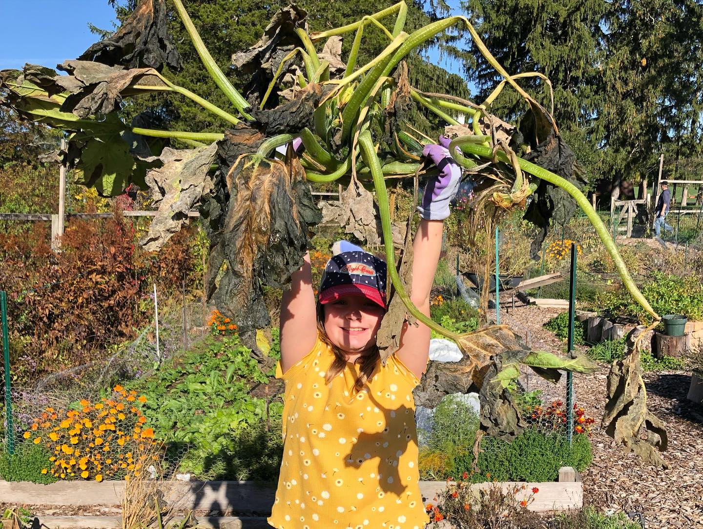 garden work 4-min img-93