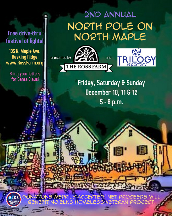 Final NPNM Poster 2021 img-87