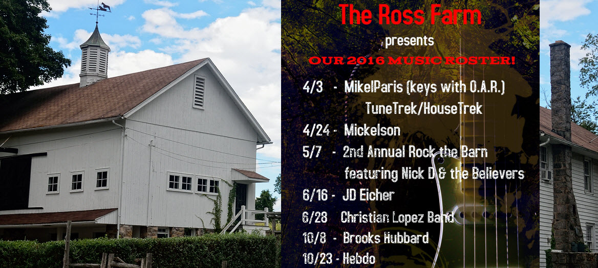 _DSC2720-rooster img-21