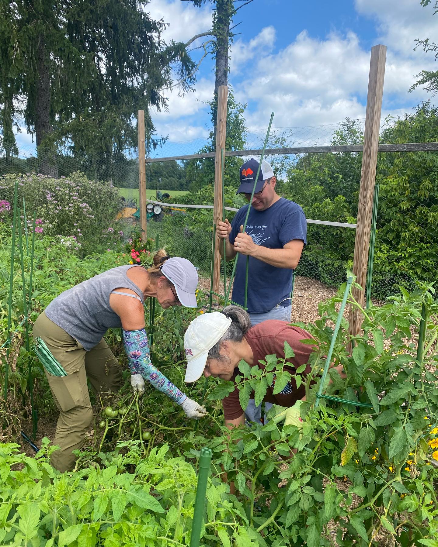 Garden work-min img-97