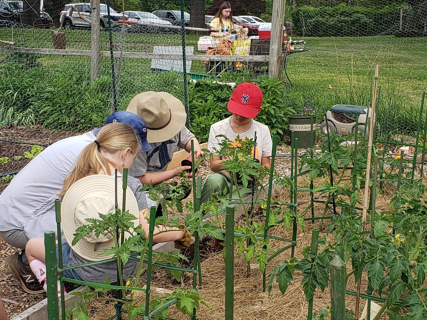 garden work 2-min img-98