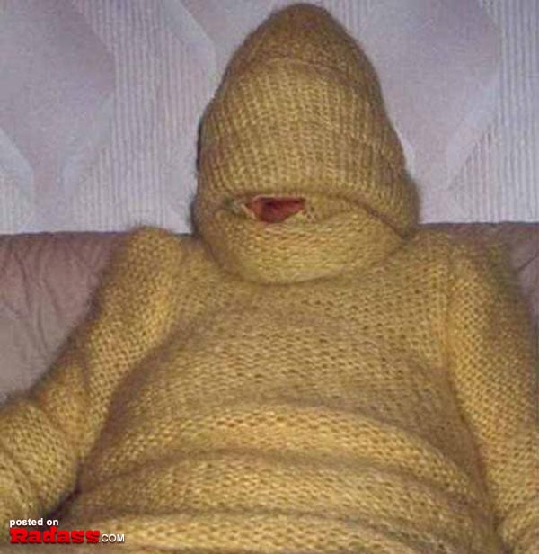 grandma is off her meds-48 32 Animals That Are Having A Better Day Than You. (10)