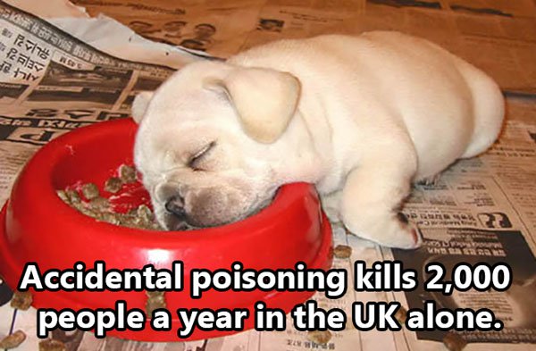 Shocking Thing s That Kill People Every Day. (10)