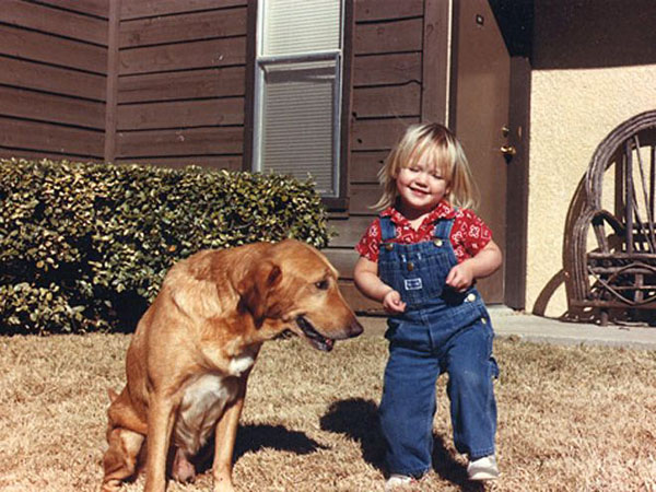 A brown dog with a blue collar in pictures.