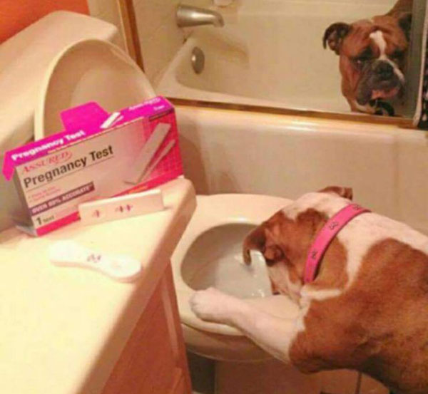 Radass Daily Pics - More at Radass.com (27)